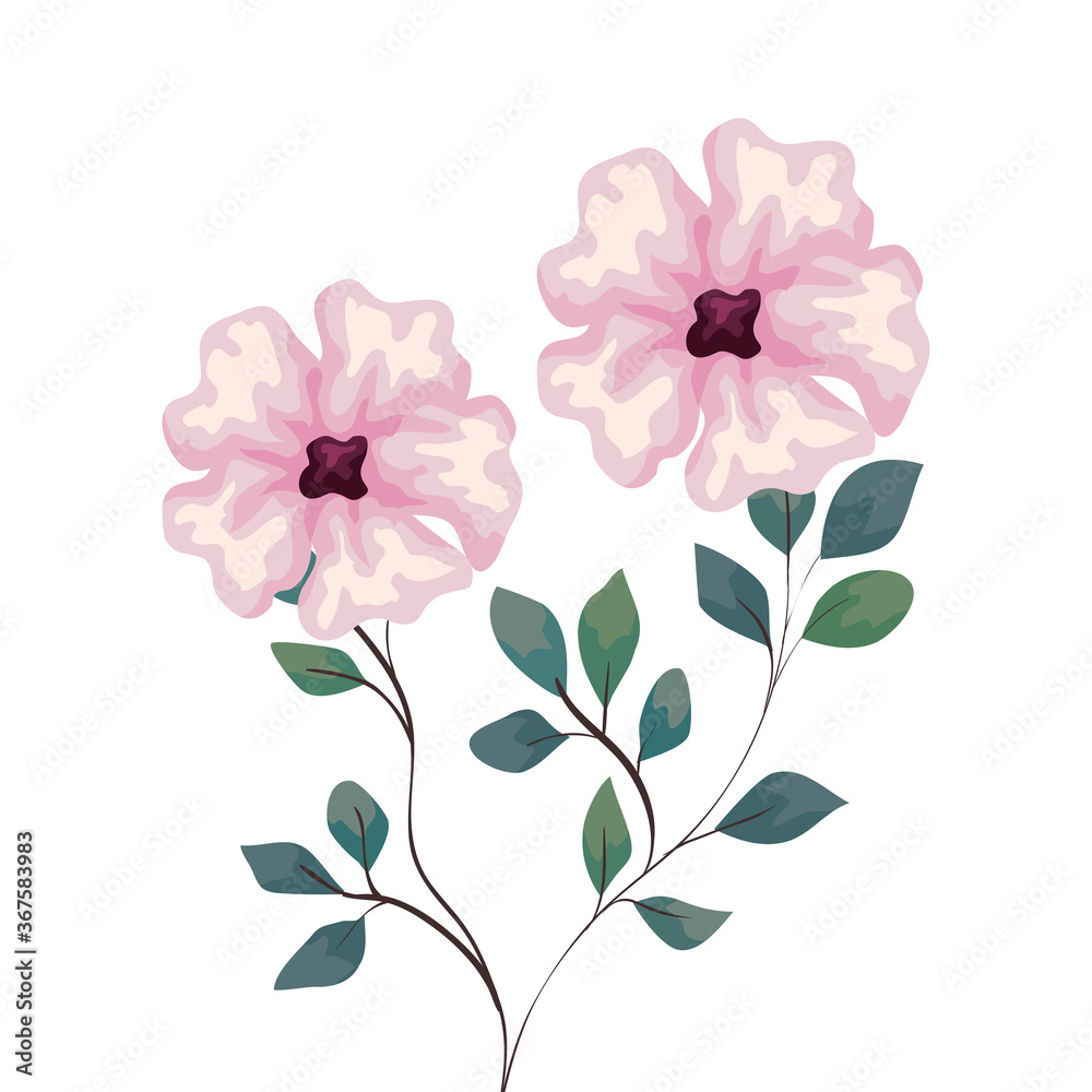 flowers pink color with branches and leaves, on white background vector illustration design