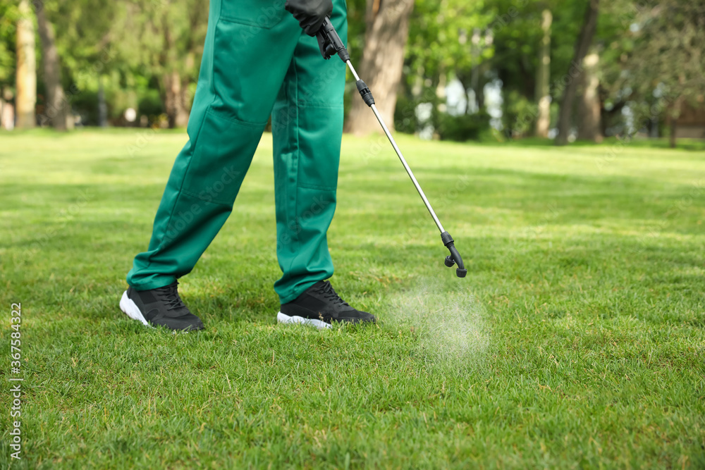 Fototapeta premium Worker spraying pesticide onto green lawn outdoors, closeup. Pest control