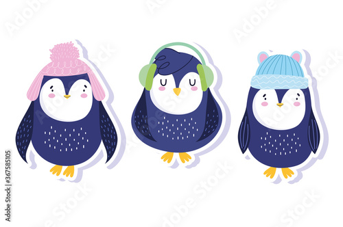 penguins with winter hats and ear muffs antarctic bird animal cartoon wildlife