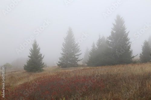 Foggy mountain side