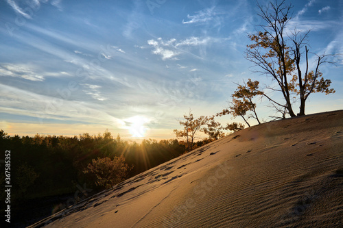 Sunset with the silhouette of the trees on the sand dune