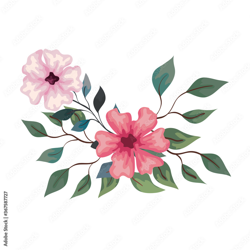 flowers pink color with branches and leaves, on white background vector illustration design flowers pink color with branches and leaves, on white background vector illustration design