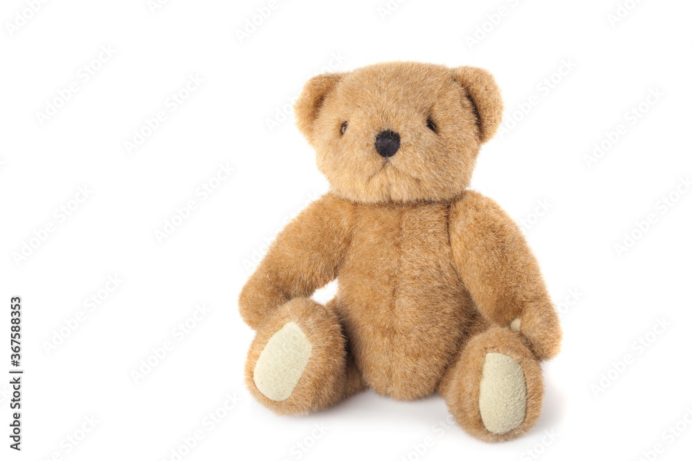 Obraz premium Teddy bear