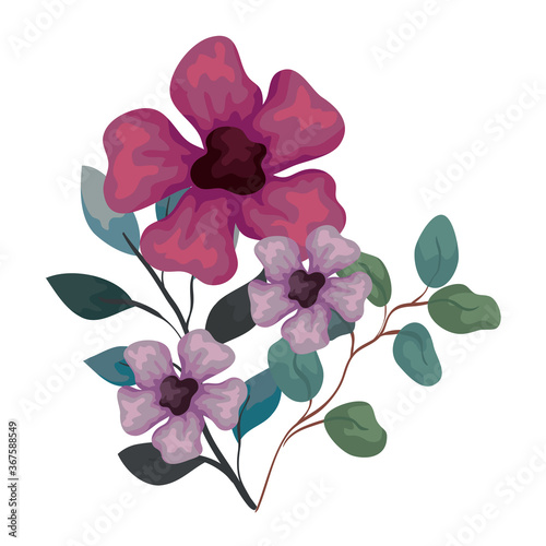 flowers purple and lilac color with branches and leaves, on white background vector illustration design