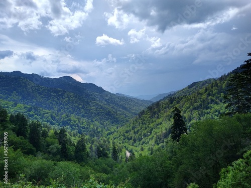 Looking out to heavily-forested mountains