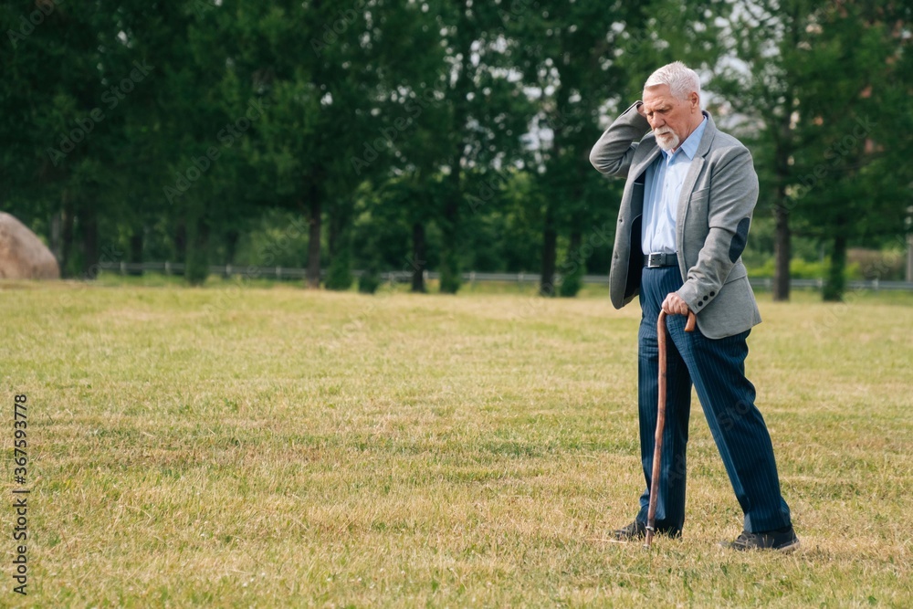An elderly gray-haired grandfather with a cane stands in a field against the background of the forest on a summe An elderly gray-haired grandfather with a cane stands in a field against the background of the forest on a summe