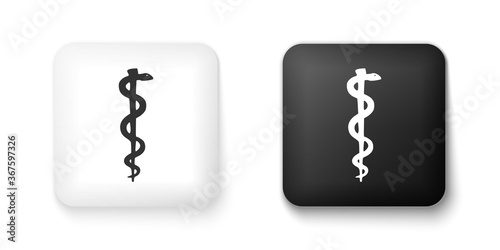 Black and white Rod of asclepius snake coiled up silhouette icon isolated on white background. Emblem for drugstore or medicine, pharmacy snake symbol. Square button. Vector. photo