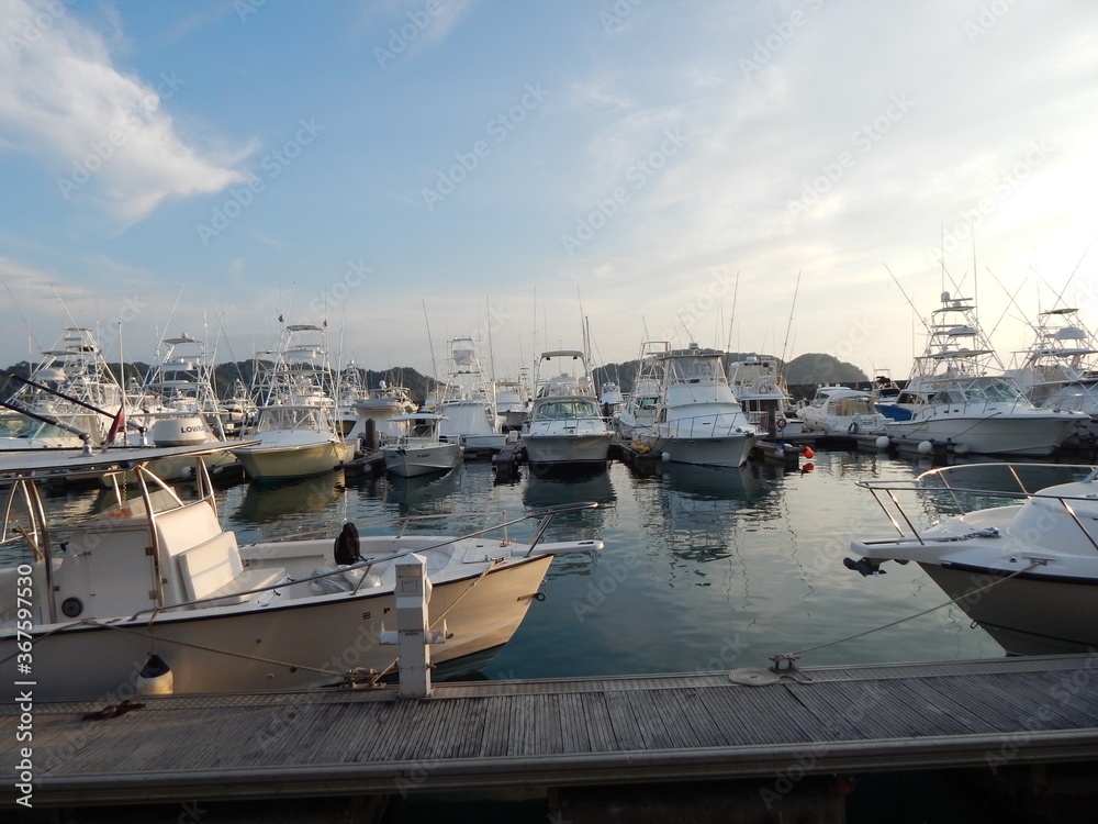 boats in the harbor