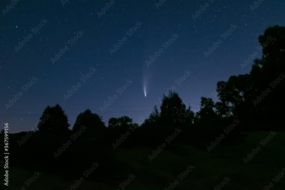 Neowise comet C/2020 F3 above night forest