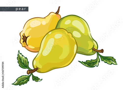 sketch_pears_three_fruits_lie