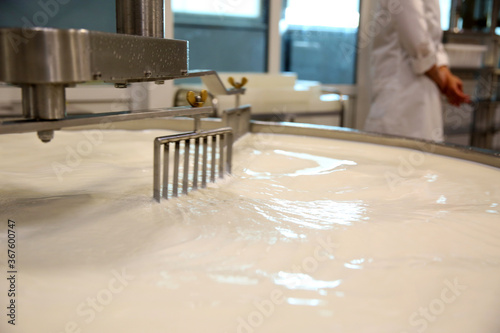Milk in curd preparation tank at cheese factory, closeup