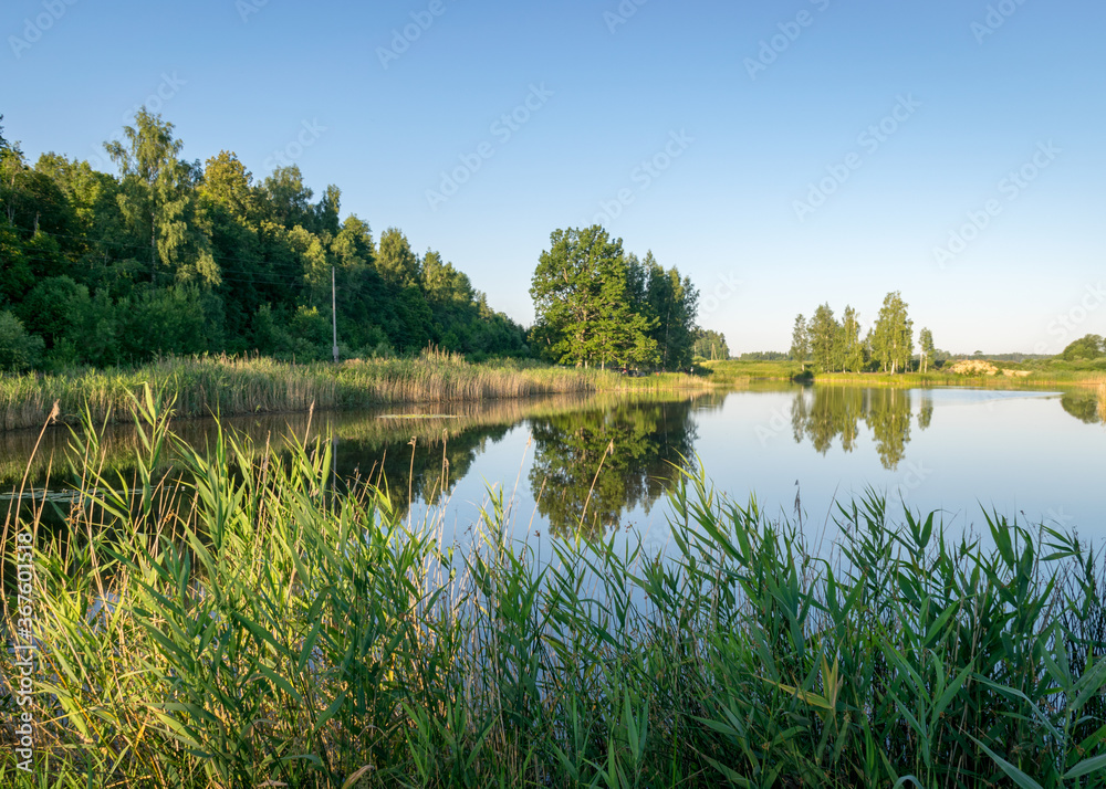 summer landscape by the lake, reeds and grass in the foreground, calm lake water, beautiful reflections in the water, summer summer landscape by the lake, reeds and grass in the foreground, calm lake water, beautiful reflections in the water, summer