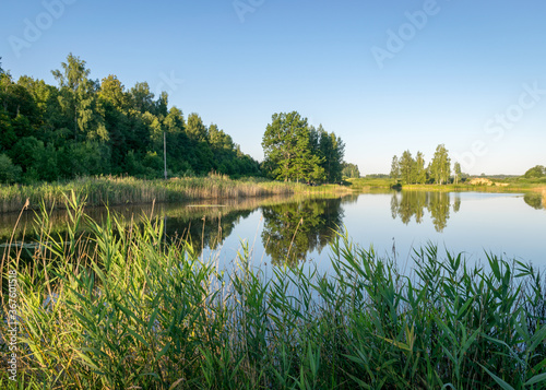 summer landscape by the lake, reeds and grass in the foreground, calm lake water, beautiful reflections in the water, summer
