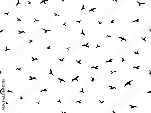 Flying bird seamless pattern. Flock flying birds silhouettes, graphic seagull shapes decorative element. Creative design textile, wrapping, wallpaper vector texture on white background