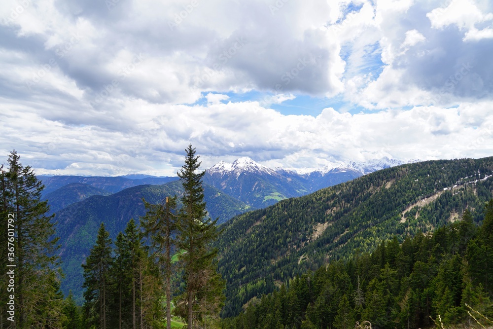 green mountain in southern tyrol with firs and clouds