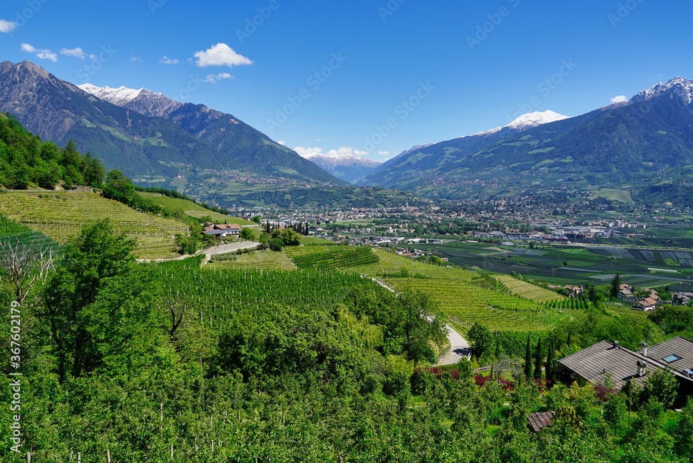 Merano and valley from above, mountains