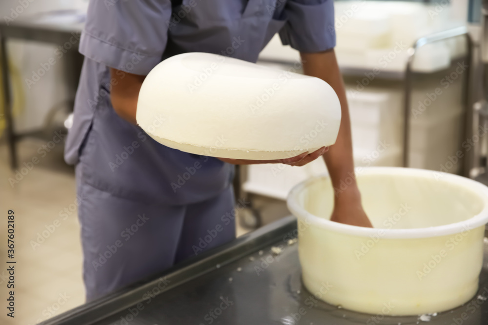 Worker holding fresh cheese at modern factory, closeup