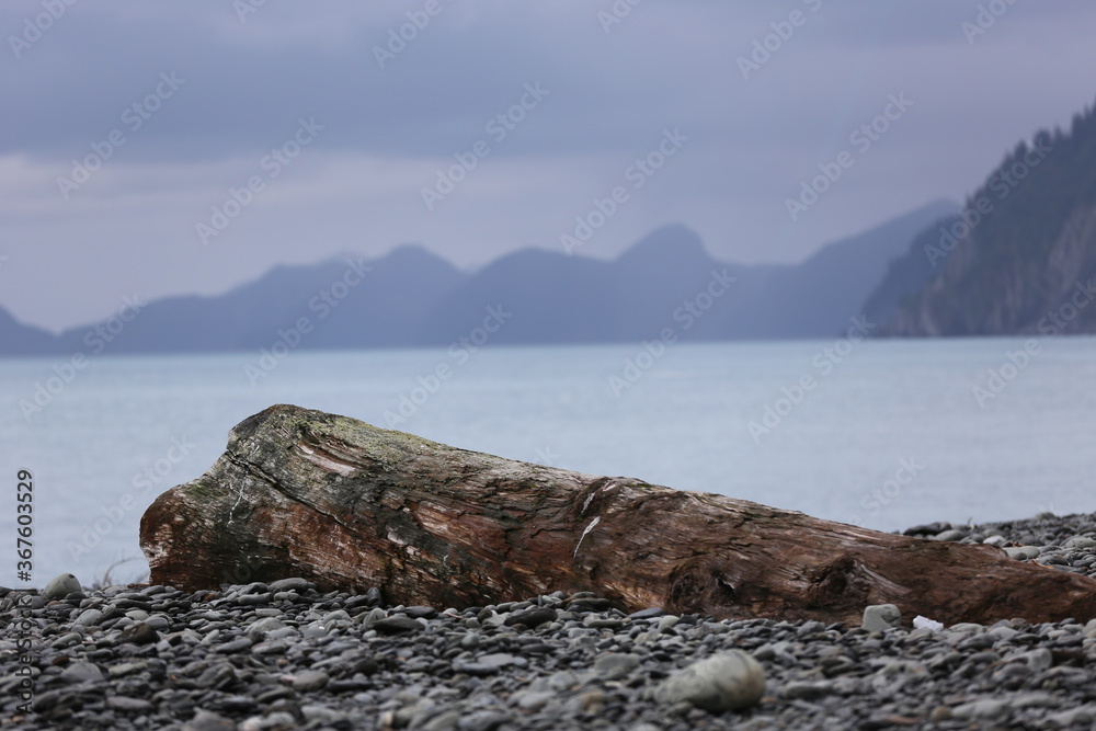 Alaska Mountains and Water