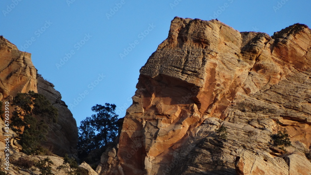 red rocks in zion national park red rocks in zion national park