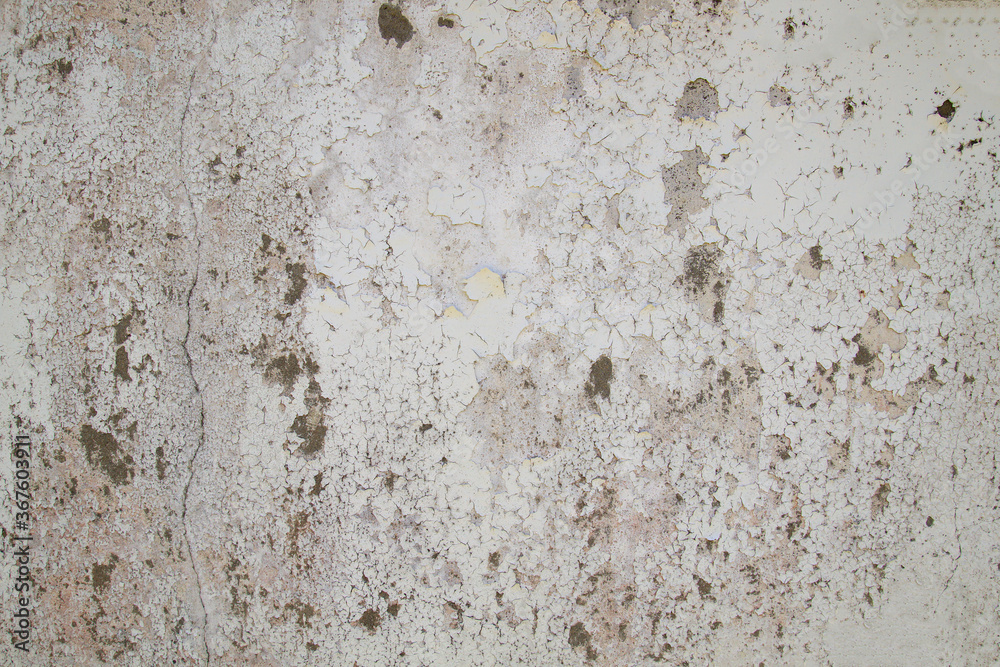 Old wall with peeling paint Old wall with peeling paint