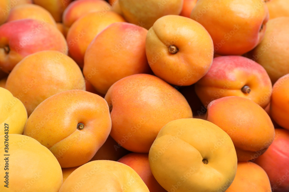 Delicious fresh ripe apricots as background, closeup Delicious fresh ripe apricots as background, closeup