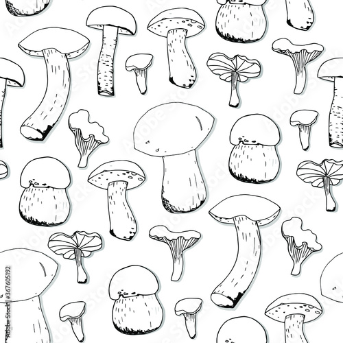 Mushrooms and spruce branches set, Hand drawing. Vector elements for your design. Fresh and healthy food from the forest