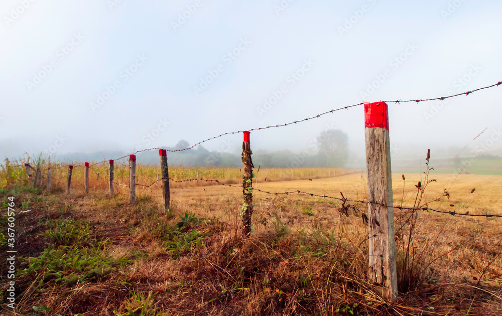 Alambrada con postes de madera en un campo de siembra en Galicia al amanecer