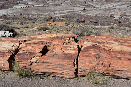 Bright Rust Colored Petrified Log in the Desert of Arizona photo