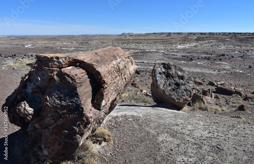 Arizona Desert Landscape with a Large Petrified Log photo