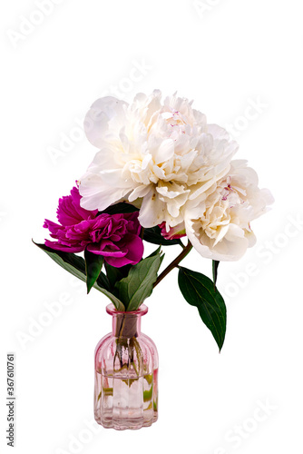 Wallpaper Mural Purple and white peony bouquet isolated on white Torontodigital.ca