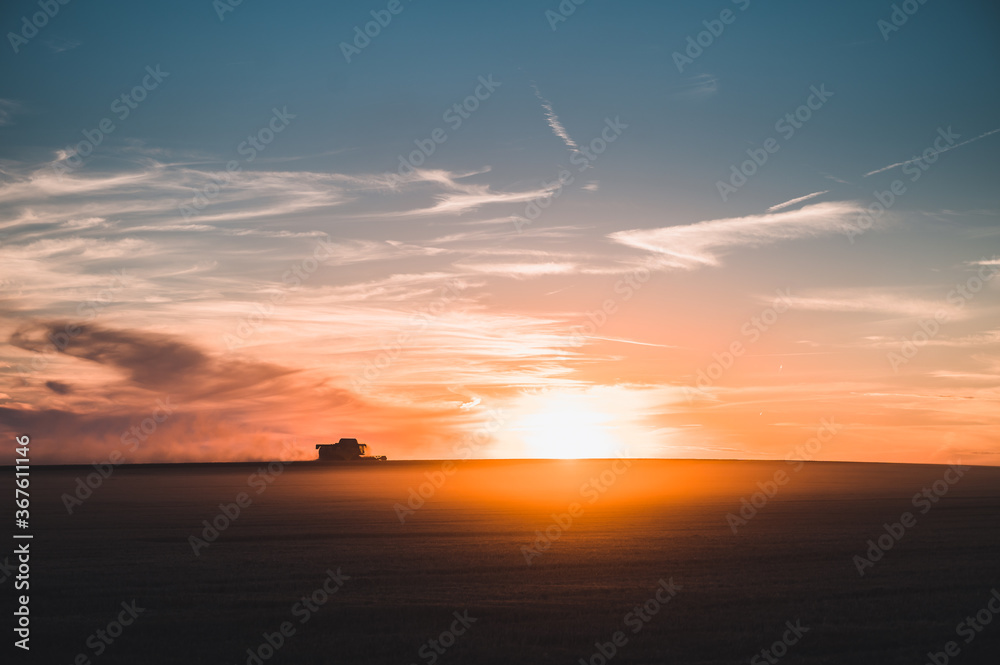 Harvesting grain in the field. Bright, evening, summer landscape with a combine harvester at sunset. Harvesting by combines at sunset. Harvesting grain in the field. Bright, evening, summer landscape with a combine harvester at sunset. Harvesting by combines at sunset.