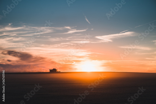 Harvesting grain in the field. Bright, evening, summer landscape with a combine harvester at sunset. Harvesting by combines at sunset. 
