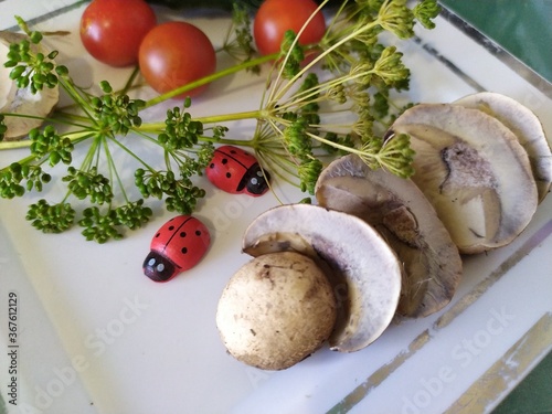 Fresh mushrooms red tomatoes ladybugs sprigs of dill on the white plate