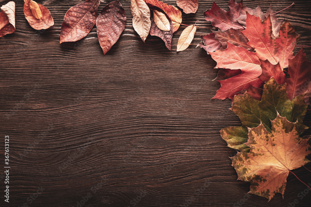 Obraz premium autumn leaf on wood black background (top view) orange leaf on old grunge wood deck, copy place, top view