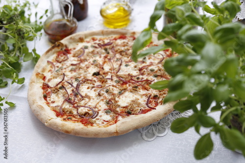 Pizza with tuna, onion, capers, and mozzarella cheese. Italian cuisine. Traditional Italian pizza. Suggestion to serve a dish. Food background.