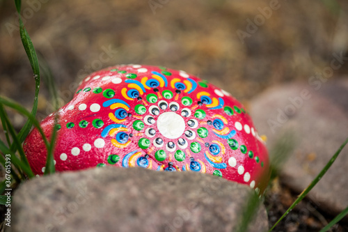 red mushroom in the forest