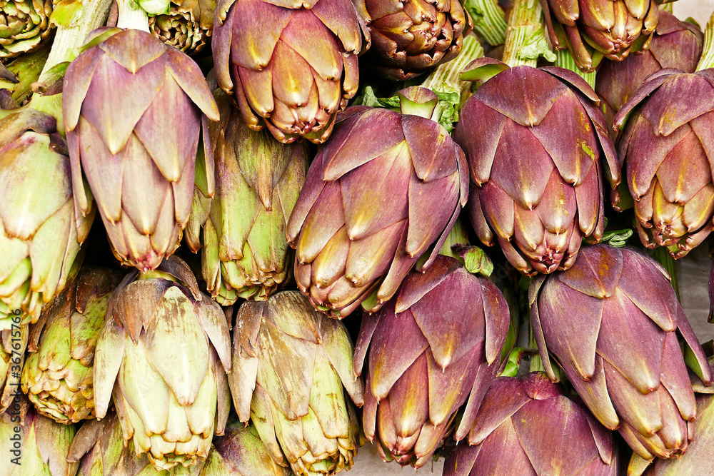 Fototapeta premium Many purple artichokes as texture