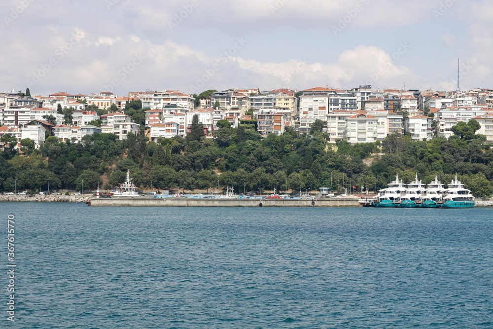 Istanbul city view. Ferry. Trees. Istanbul city view. Ferry. Trees.