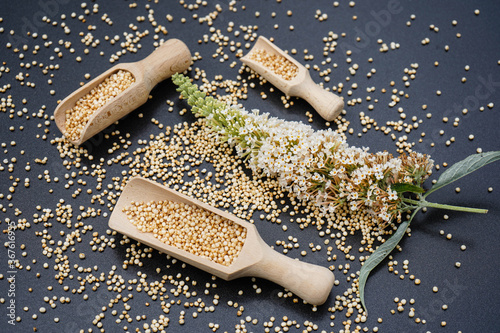 Obraz na płótnie Quinoa
