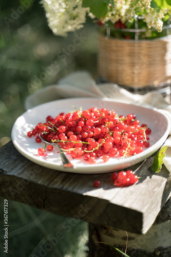 Red currants on a white plate on a wooden Board in the garden in the sun. Lunch in the nature. Concept of eating in nature.