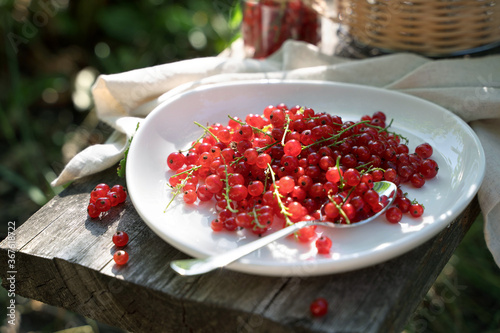 Red currants on a white plate on a wooden Board in the garden in the sun. Lunch in the nature. Concept of eating in nature.