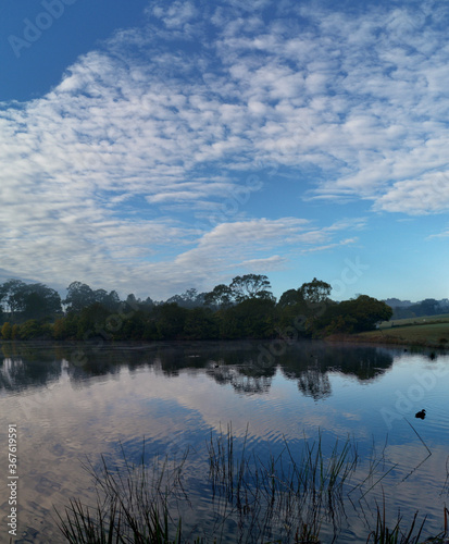 Fototapeta Naklejka Na Ścianę i Meble -  Beautiful morning view of a still pond in a park with stunning reflections of blue puffy sky and tall trees, Fagan park, Galston, Sydney, New South Wales, Australia