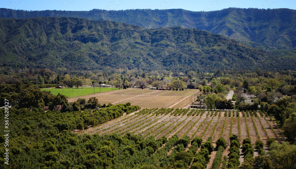 Overlooking valley of orange groves in southern California