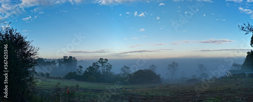 Beautiful morning foggy panoramic view of a park with green grass, tall trees and blue foggyy sky, the Porter Scenic Lookout, Galston, Sydney, New South Wales, Australia photo