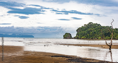 Borneo, Tman Bako, National park photo