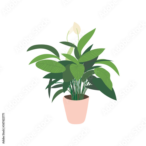 potted plant illustration