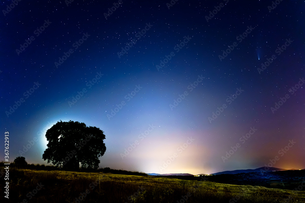 neowise comet in dark blue night sky with stars tree and light hallow neowise comet in dark blue night sky with stars tree and light hallow