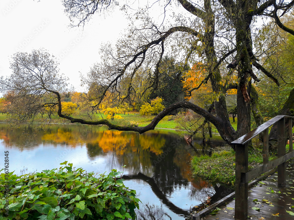 Beautiful autumn landscape in a park with a lake on a cloudy rainy day.