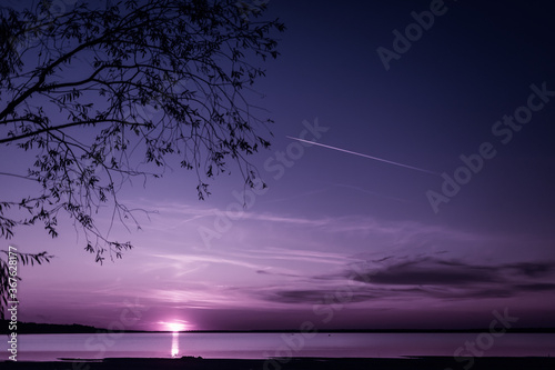 view of the violet sunset through the branches of the will on a bright sunset over the lake photo
