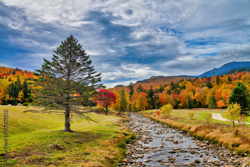 Beautiful creek of New England with tree and foliage background